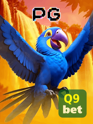 Q9BET bônus — cashback 15 por cento e níveis VIP