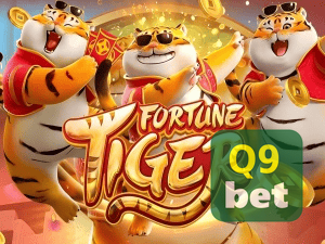 Guia install APK Q9BET BR