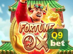 Q9BET login — painel de entrada no app oficial