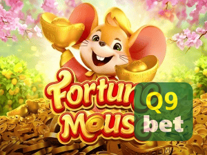 Q9BET login — configurações de segurança e proteção de conta
